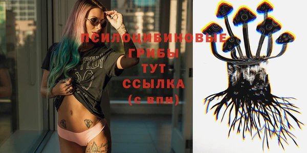 стафф Алзамай
