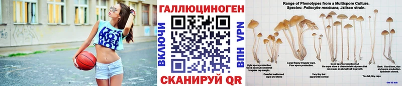 Галлюциногенные грибы Cubensis  Тейково 