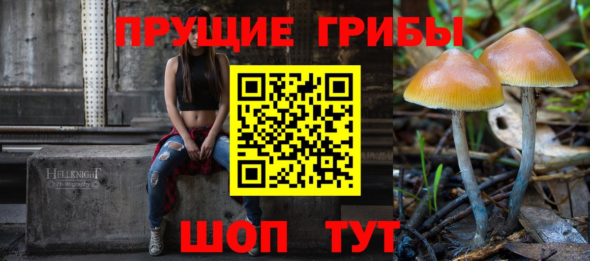Галлюциногенные грибы MAGIC MUSHROOMS Тейково