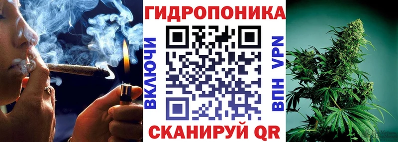 Бошки марихуана семена  где купить   Тейково 